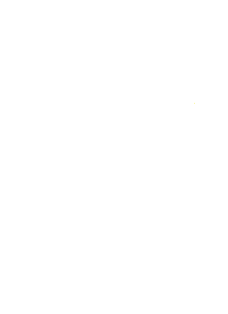 Duck Brand