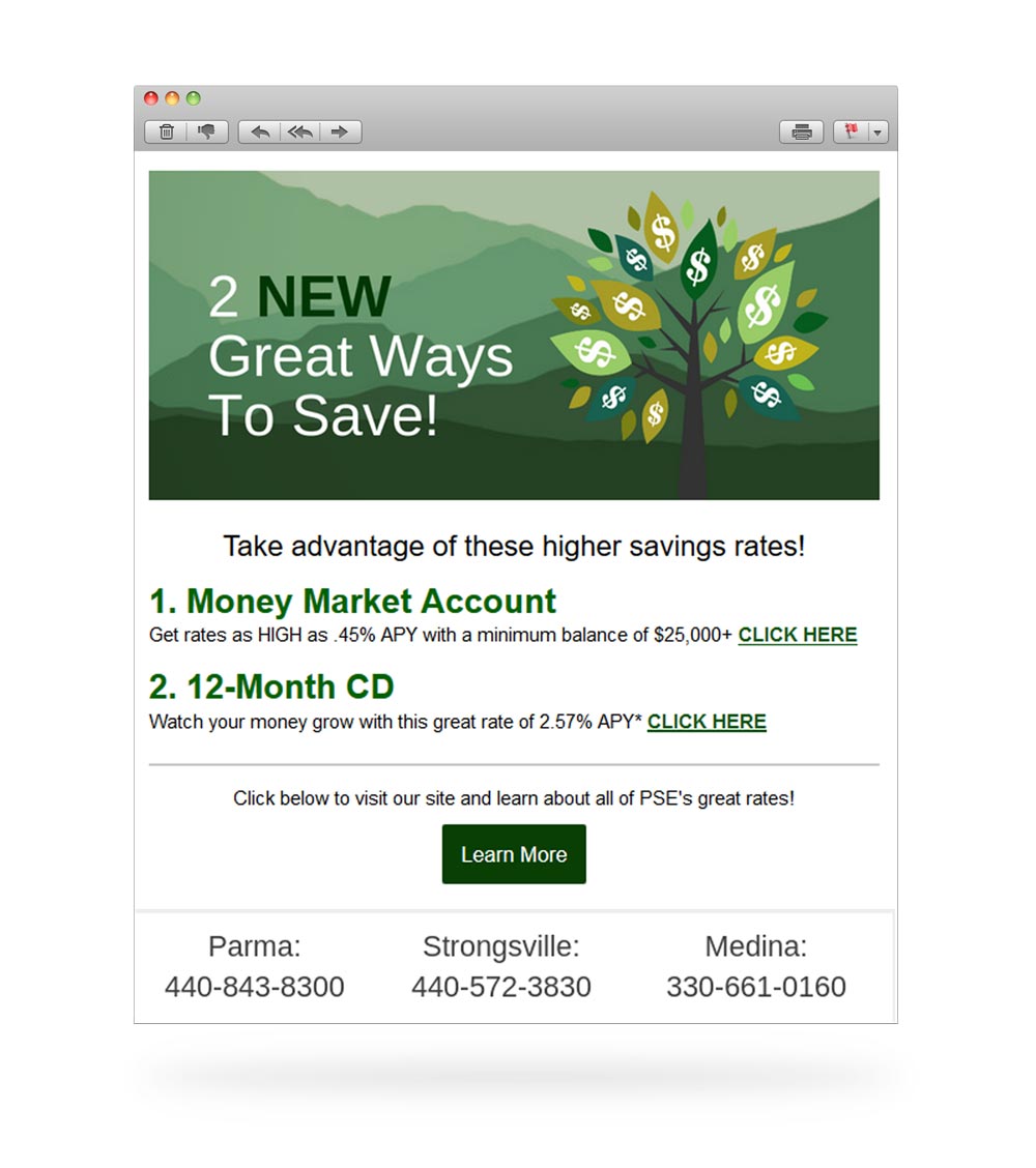 PSE Email Campaign 2